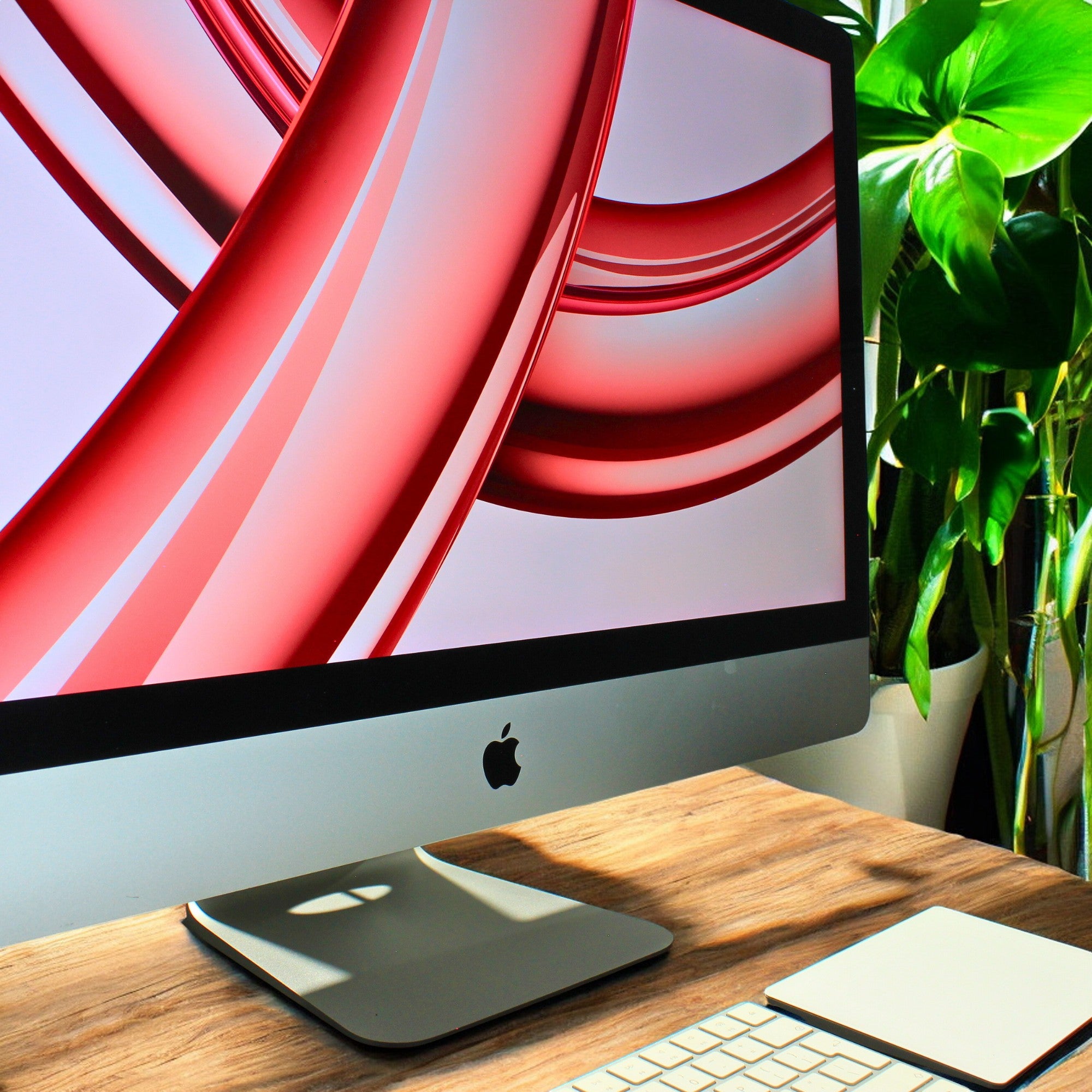 16-Photoroom_92b802c7-a27d-