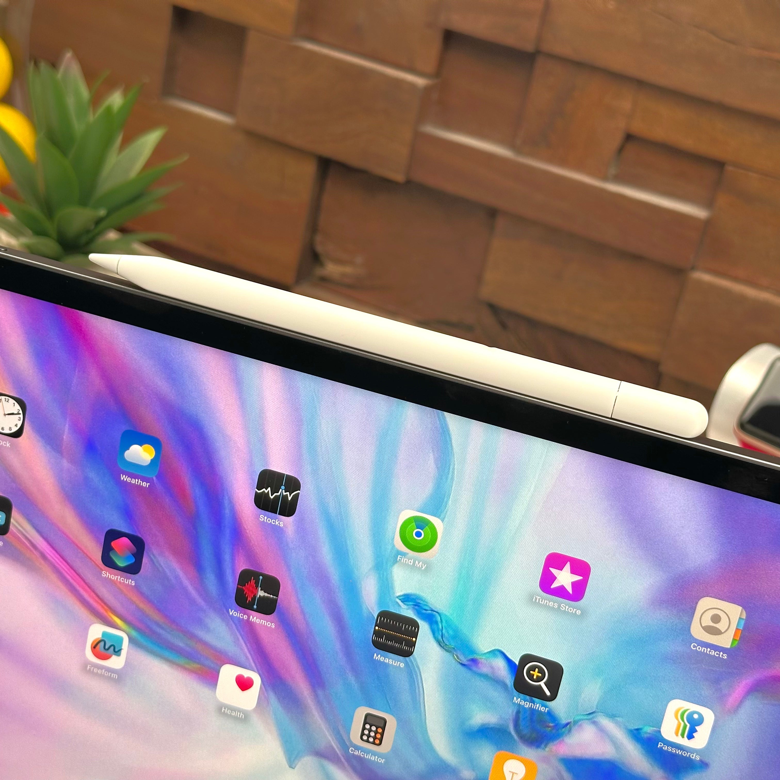 Apple Pencil (USB-C) - Pre Owned / 3 Month Warranty - Mac Shack