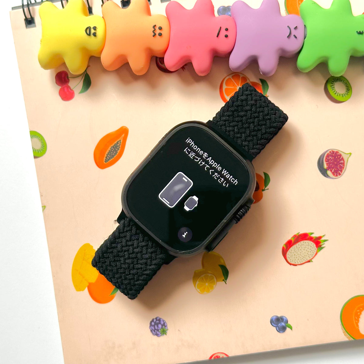 Apple Watch Ultra 2 (49mm, Black Titanium with Black Nylon Sport Strap, GPS & Cellular) - Pre Owned / Apple Limited Warranty - Mac Shack