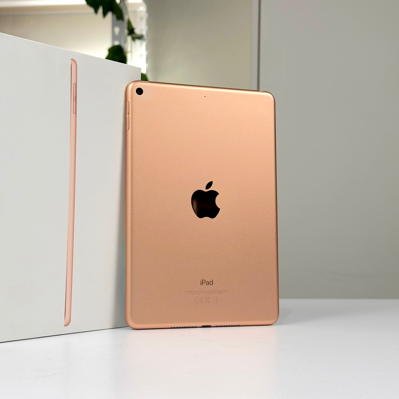 iPad mini 7.9-inch 5th Gen 64GB Wifi Gold (2019) - Pre-Owned - Mac Shack