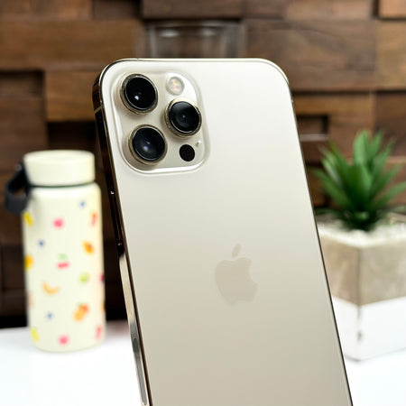 Apple iPhone 12 Pro Max (256GB, Gold) - Pre Owned / 12 Month Limited Warranty - Mac Shack