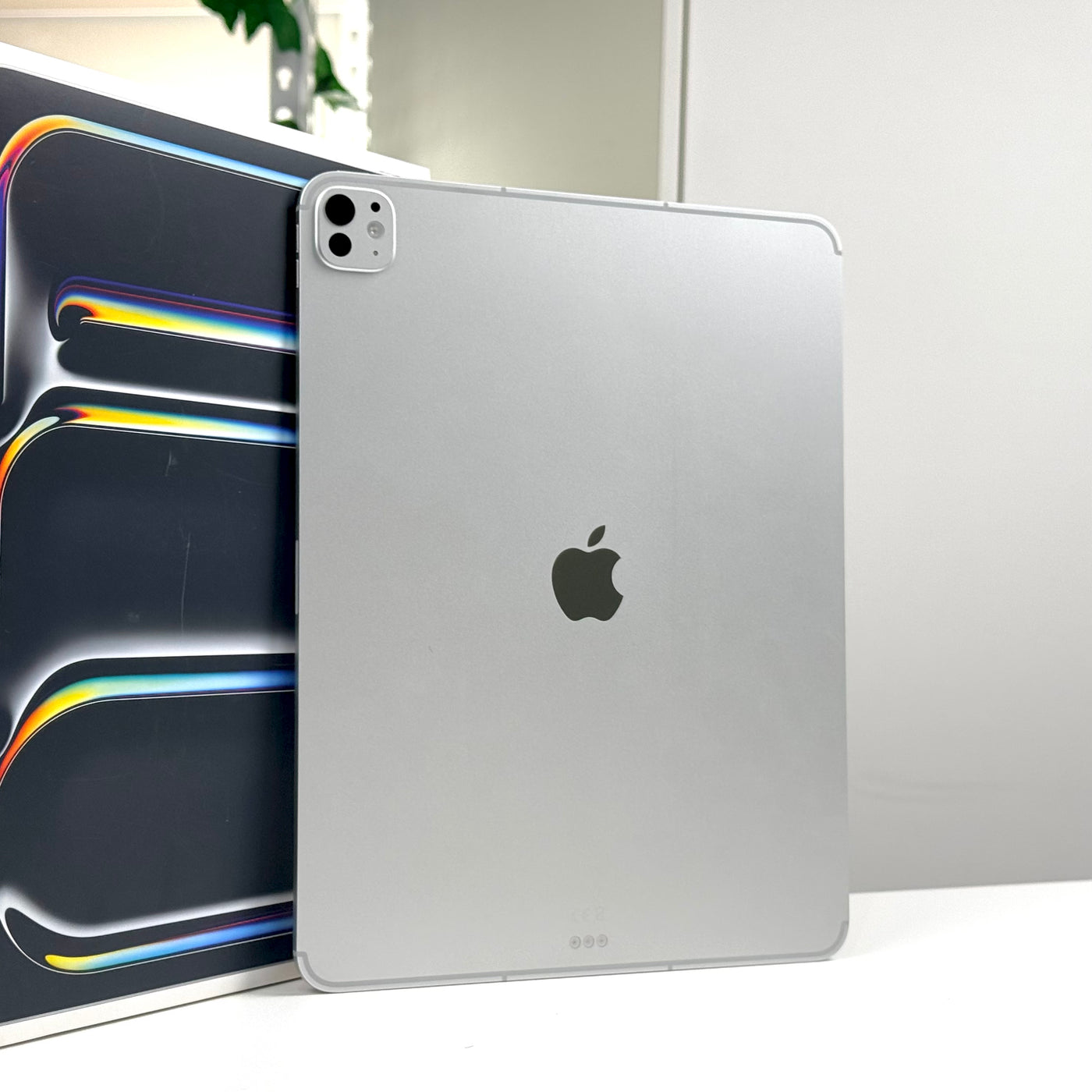 Back of a pre-owned iPad Pro 13-inch M5 256GB Cellular in Silver, standing upright - Mac Shack