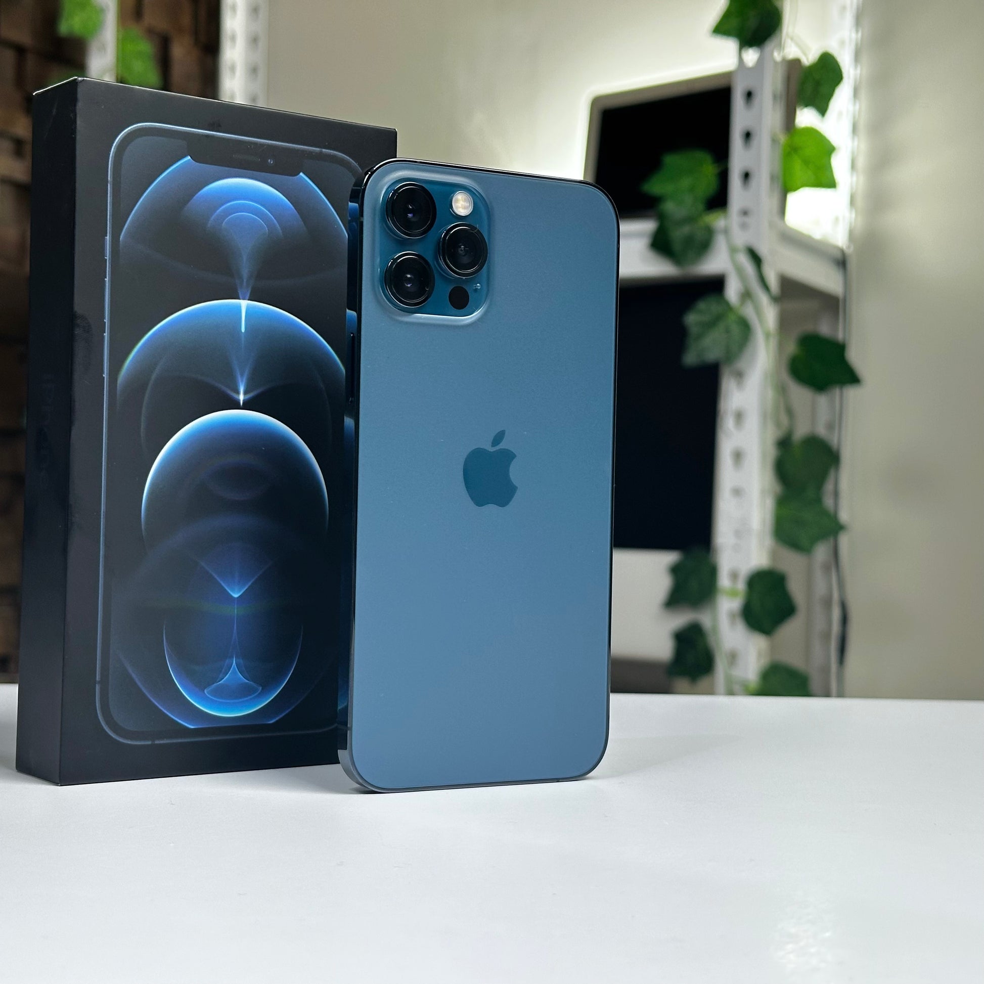 iPhone 12 Pro Max 512GB Pacific Blue | Mac Shack SA