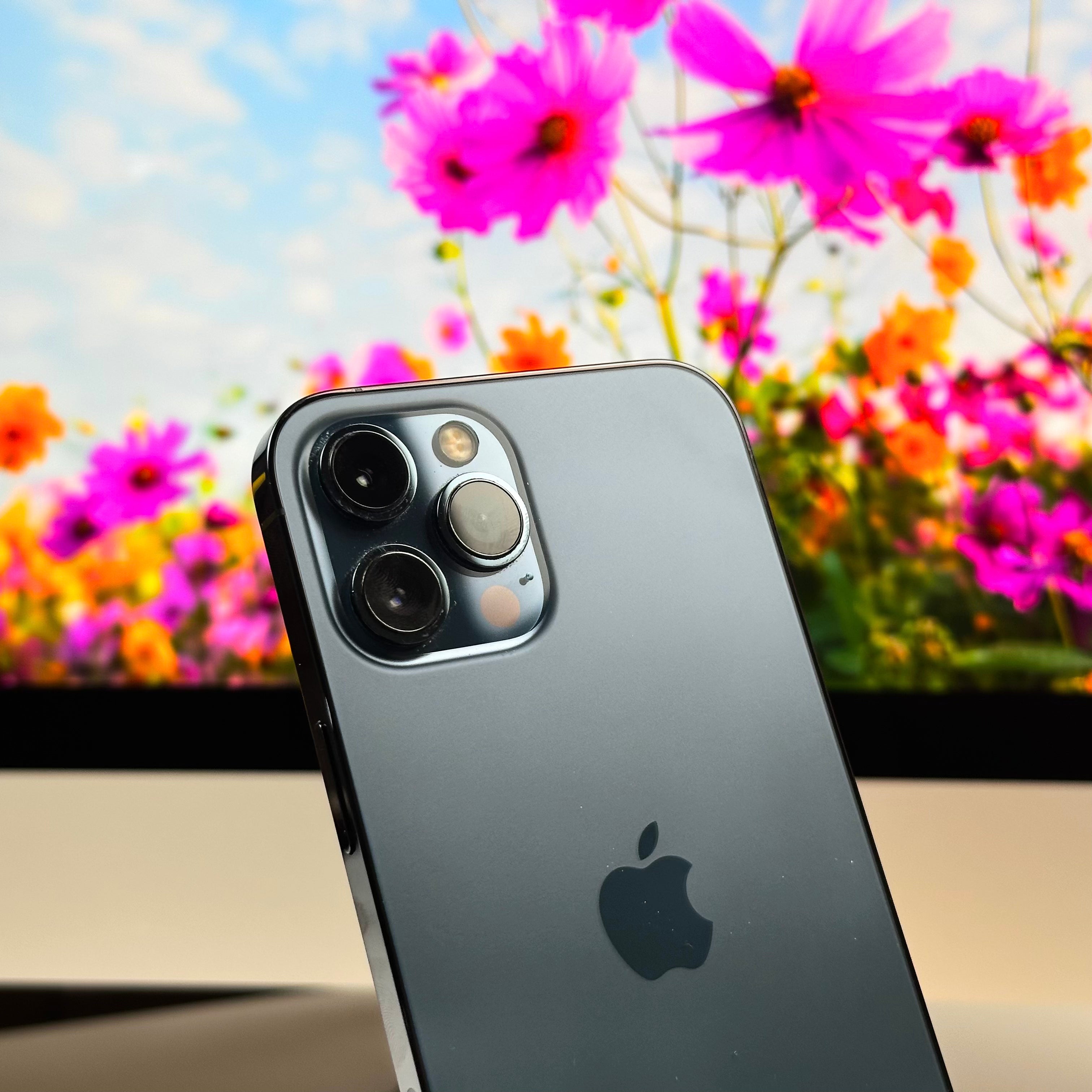 Apple iPhone 12 Pro Max (128GB, Pacific Blue) - Pre Owned / 12 Month Limited Warranty - Mac Shack