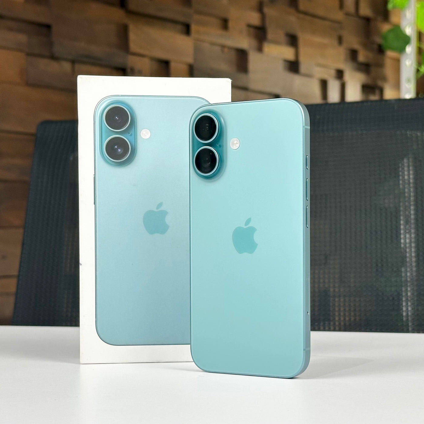 Back of the pre-owned iPhone 16 in Teal standing in front of its original box - Mac Shack