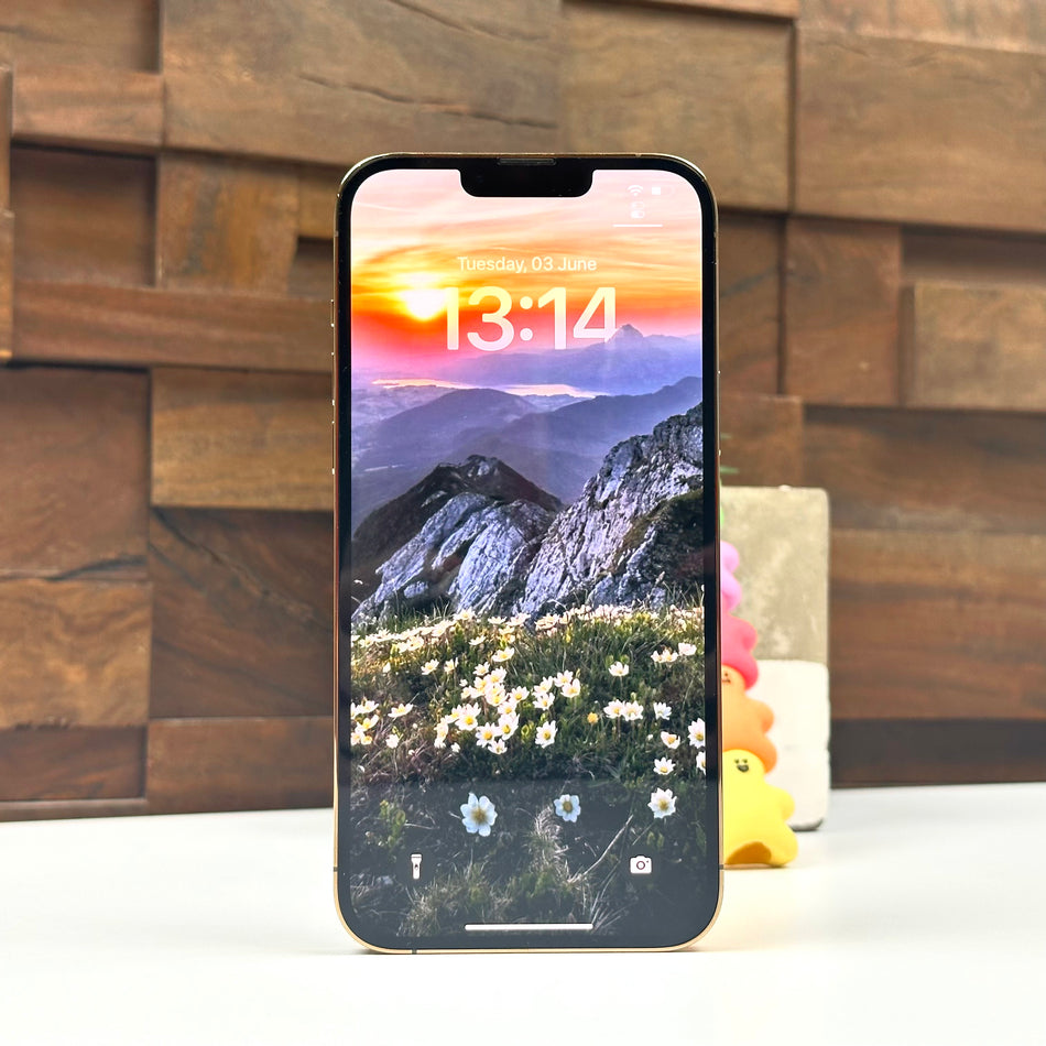 Apple iPhone 13 Pro Max (128GB, Gold) - Pre Owned / 3 Month Warranty