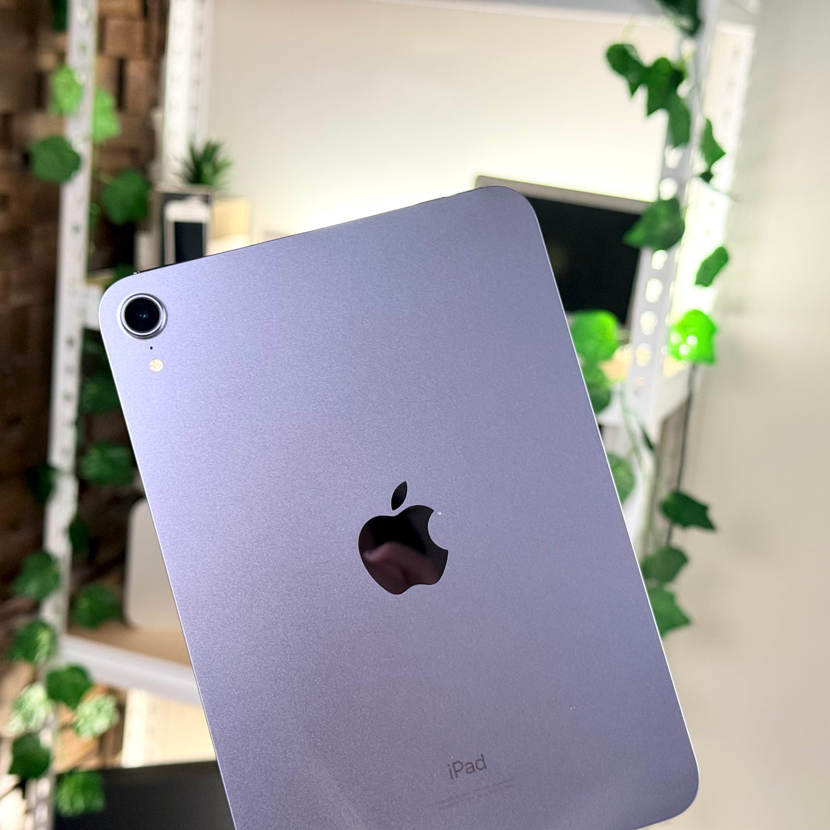 iPad mini 6th Gen 256GB Wi-Fi Purple | Pre-Owned iPad mini 6th Gen 256GB Wi-Fi Purple | Pre-Owned