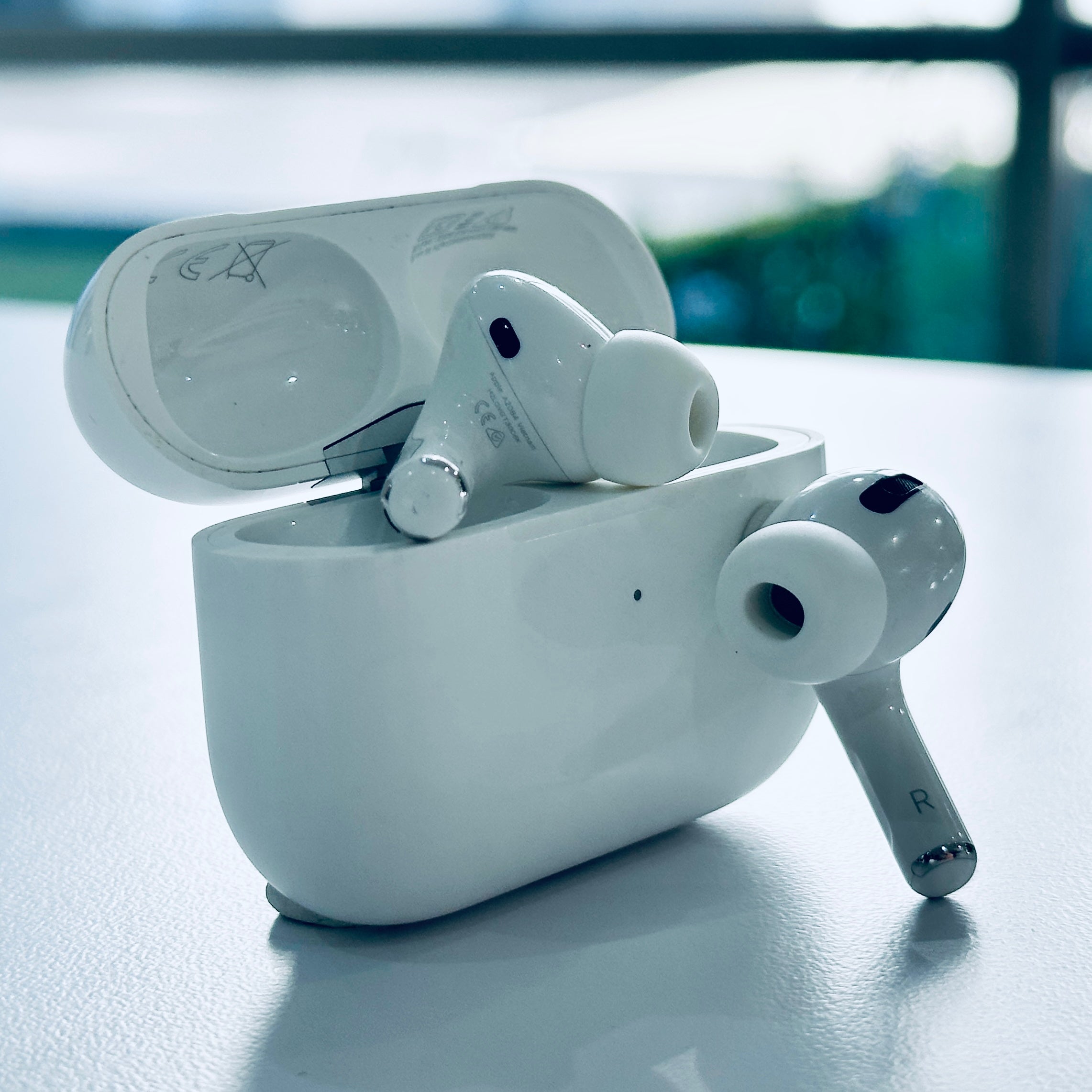 IMG_0024.jpg?v=1732786767&