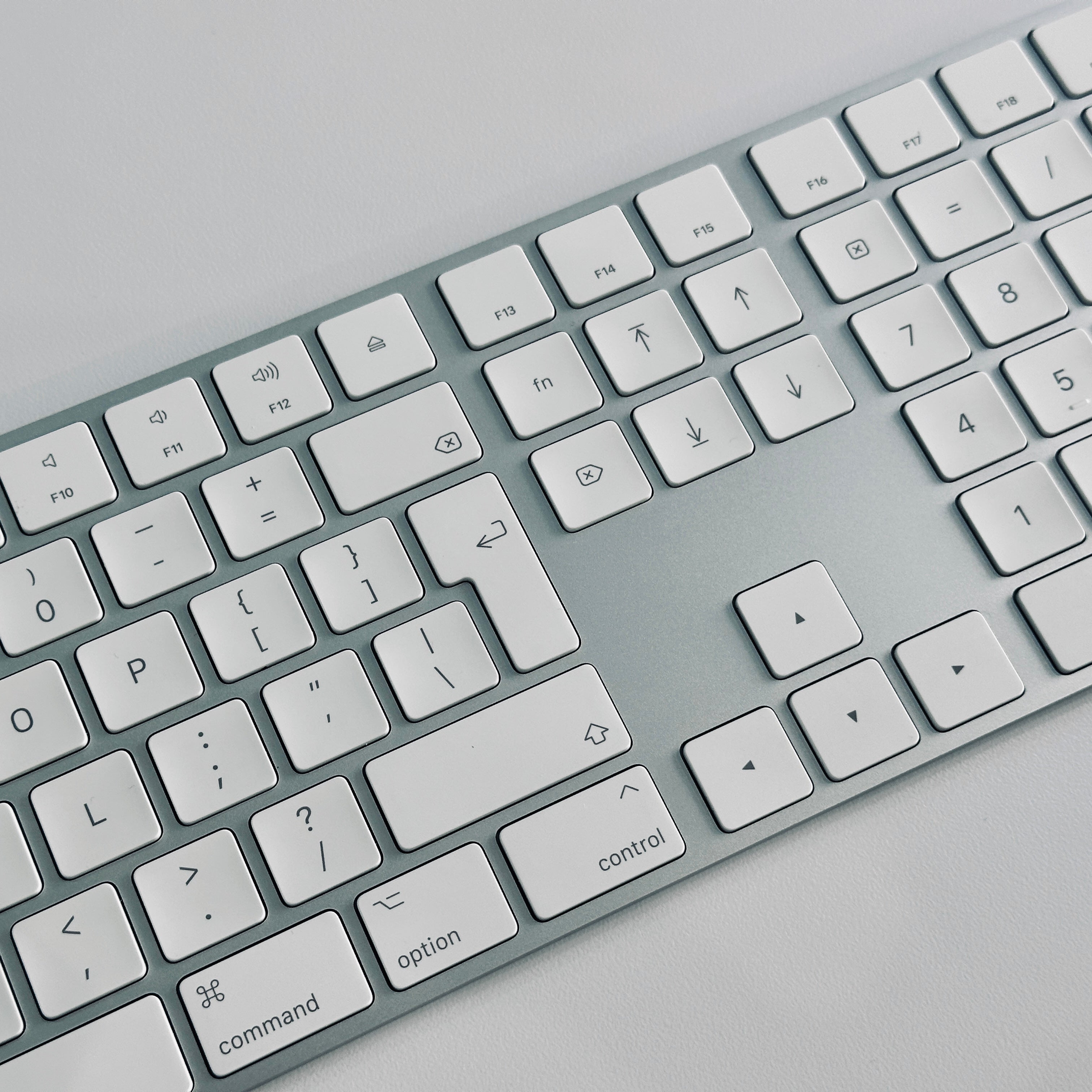 IMG_0031_76951696-844f-42e8-