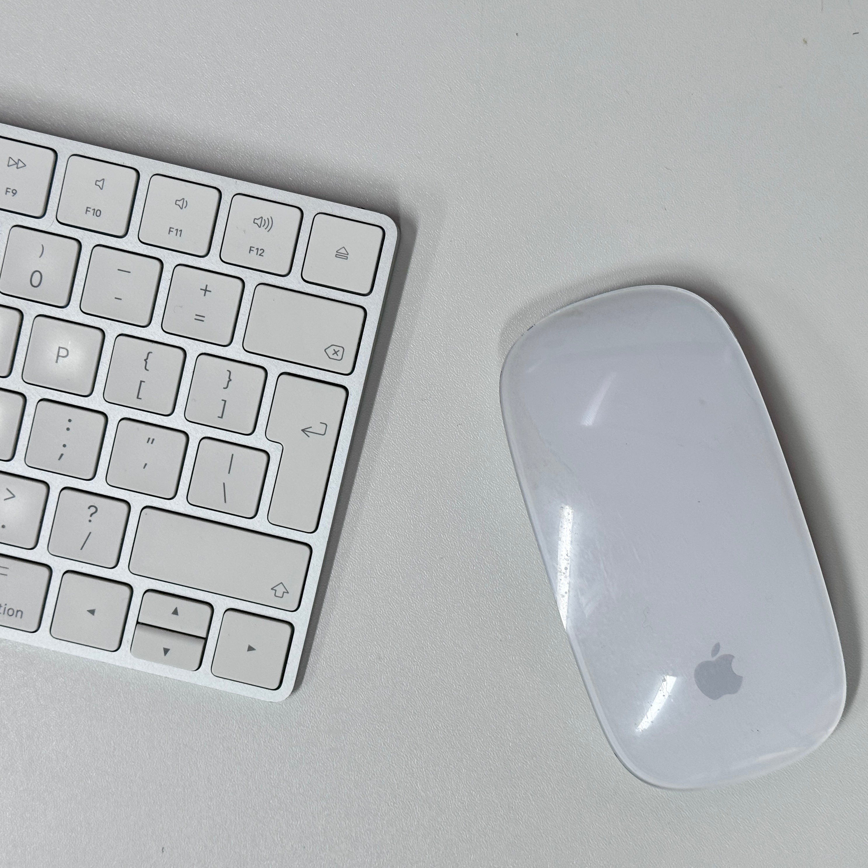 IMG_0306.jpg?v=1731573102&