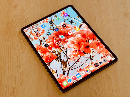 2022 12.9-inch Apple iPad Pro 6th Gen M2 (256GB, Wifi, Space Gray) - Pre Owned / 3 Month Warranty - Mac Shack
